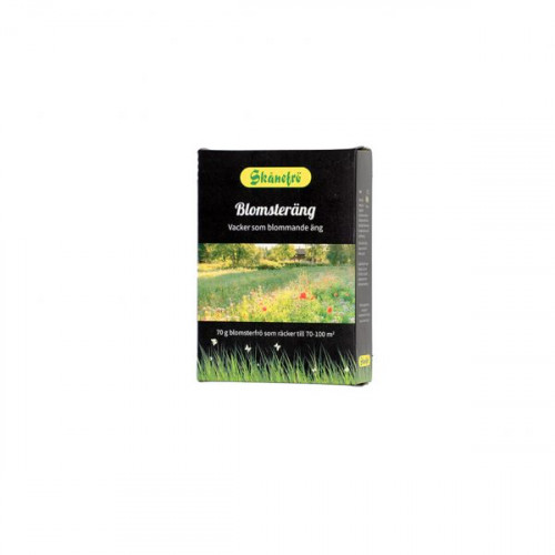 BLOMSTERÄNG 70G
